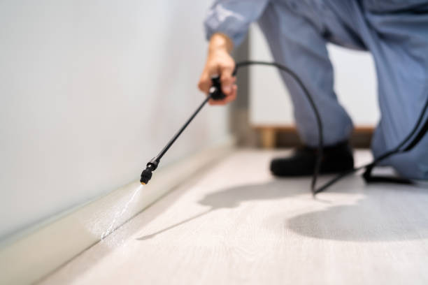 Licensed Mosquito Control service in Sandy Springs, SC - Show Me Pest Control