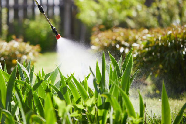 24/7 Emergency Mosquito Control experts in Sandy Springs, SC