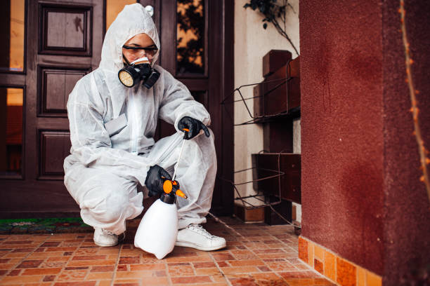 Reliable Mosquito Control contractor in Sandy Springs, SC by Show Me Pest Control