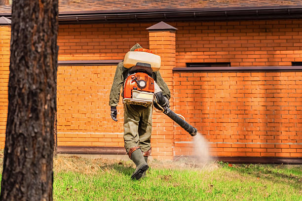 Top rated local Mosquito Control specialists in Sandy Springs, SC